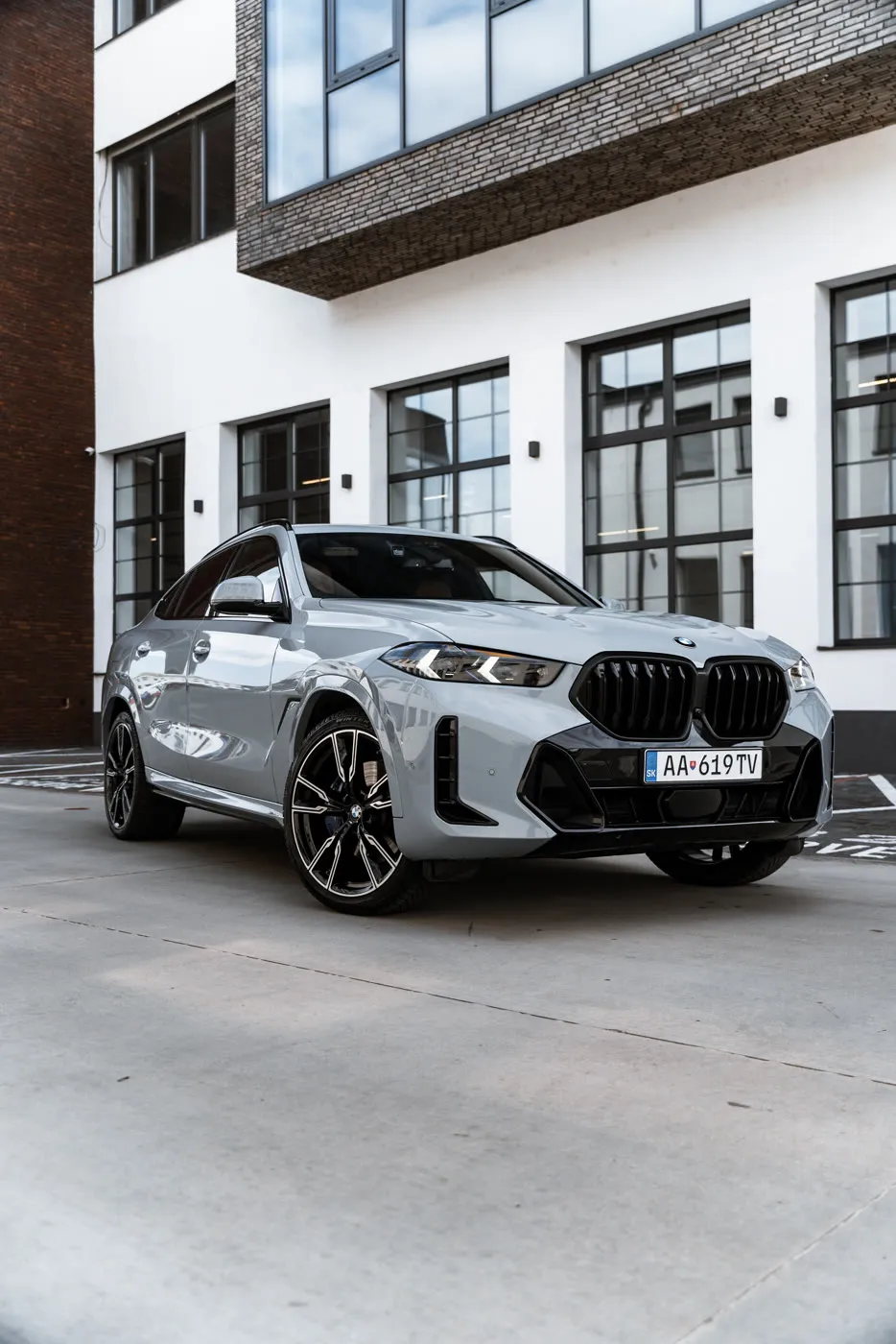 BMW X6 - asset 7