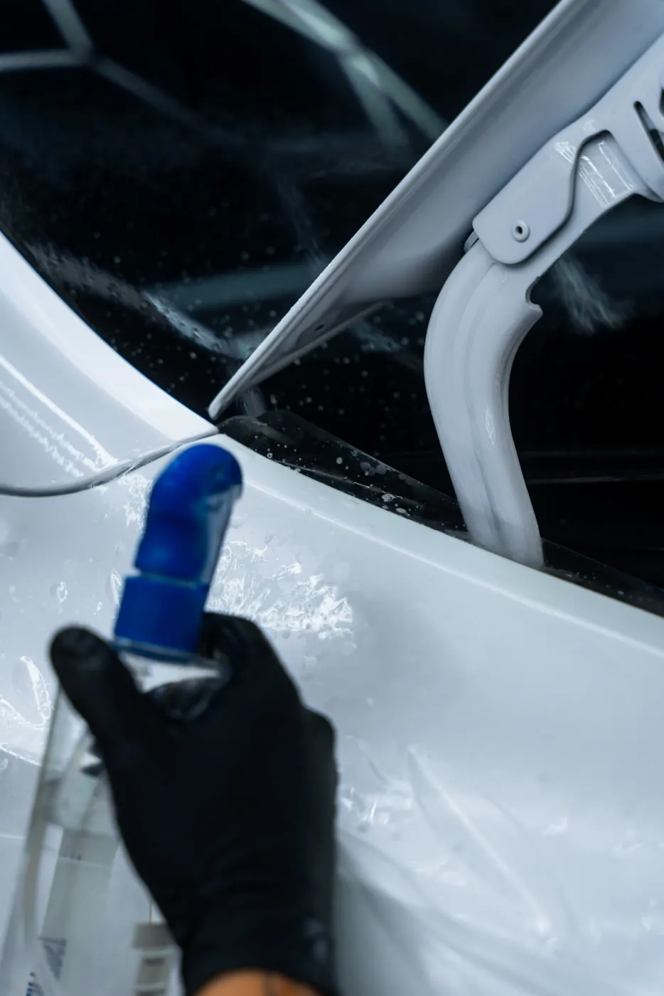 TESLA MODEL Y - asset 11